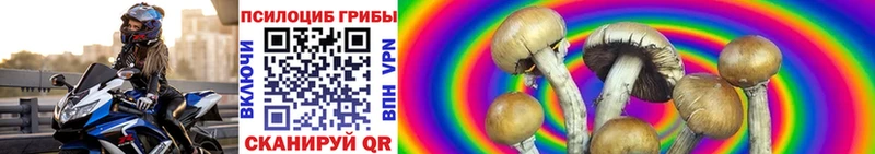Галлюциногенные грибы Psilocybine cubensis  купить   Сурск 